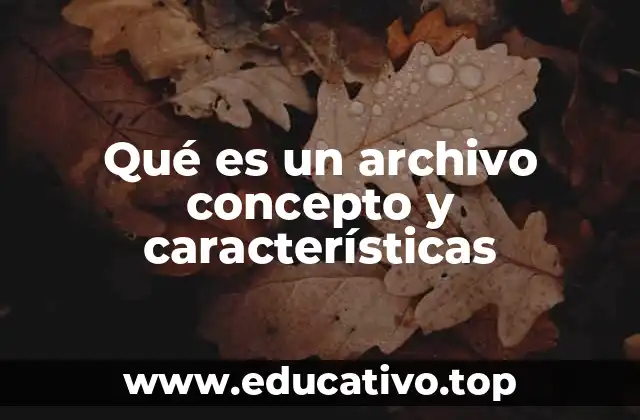 Qué es un archivo concepto y características