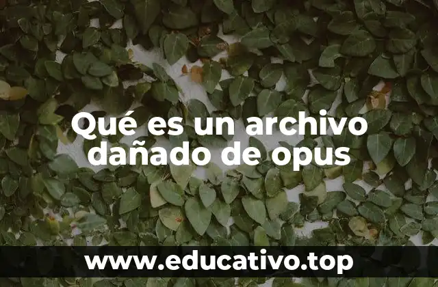 Qué es un archivo dañado de opus