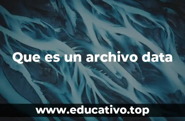 Que es un archivo data