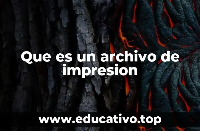 Que es un archivo de impresion