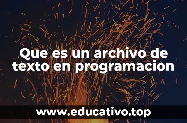 Que es un archivo de texto en programacion