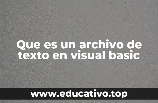 Que es un archivo de texto en visual basic