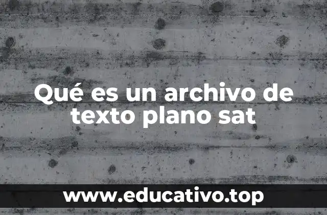 Qué es un archivo de texto plano sat