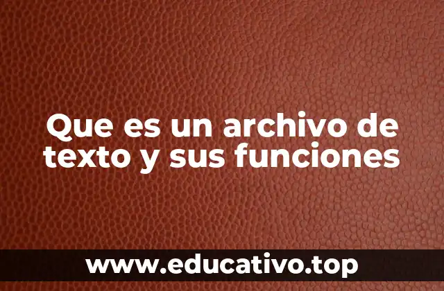 Que es un archivo de texto y sus funciones