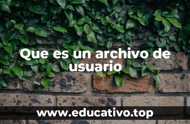 Que es un archivo de usuario