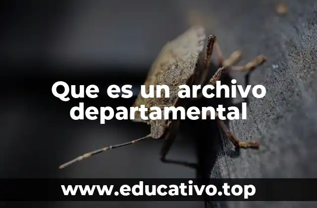 Que es un archivo departamental