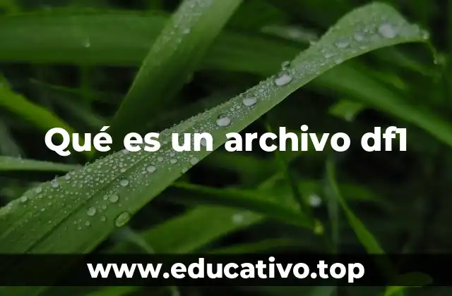 Qué es un archivo df1