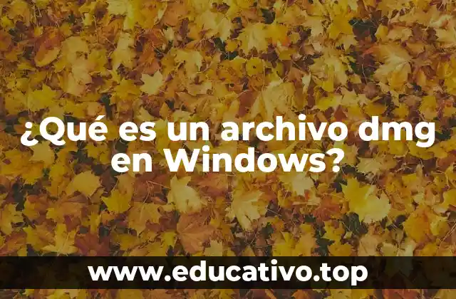 ¿Qué es un archivo dmg en Windows?