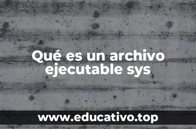 Componentes esenciales del sistema operativo Windows