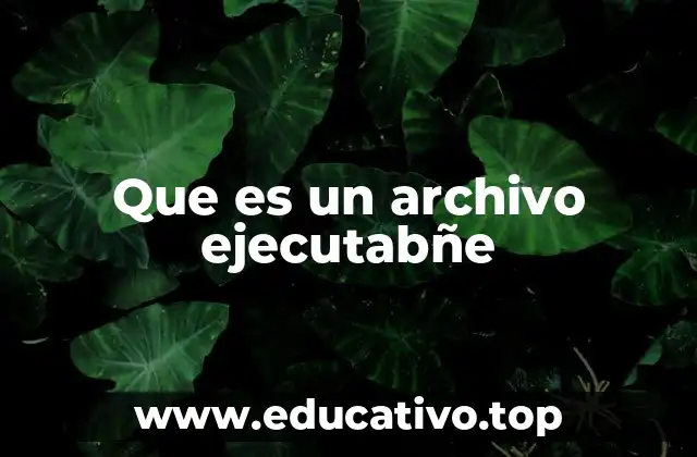 Que es un archivo ejecutabñe