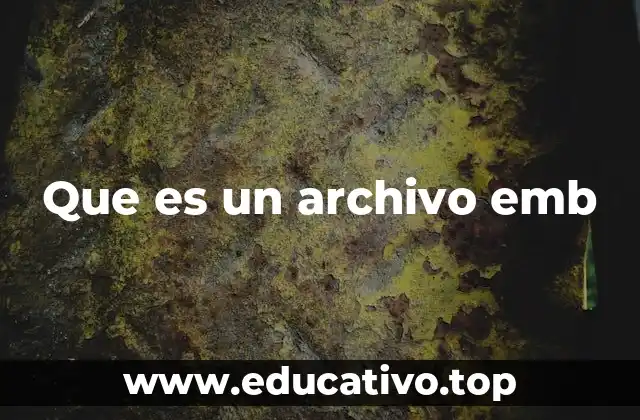 Que es un archivo emb