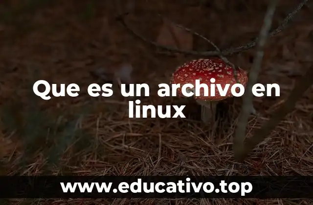 Que es un archivo en linux