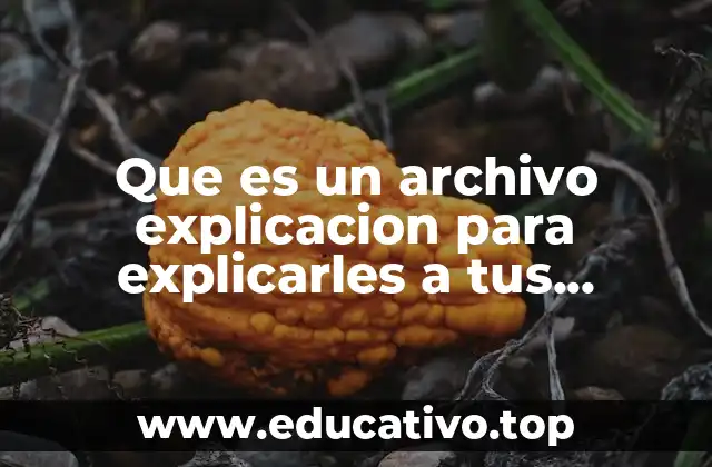 La importancia de los archivos en el entorno educativo