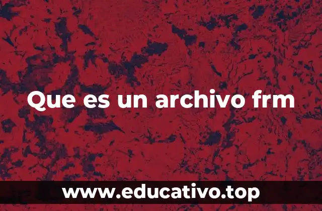 Que es un archivo frm
