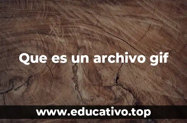 Que es un archivo gif