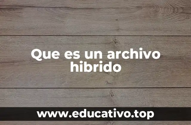 Características y ventajas de los archivos híbridos