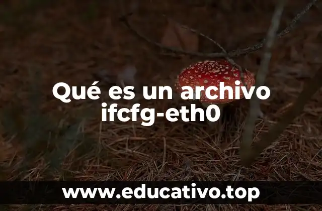 Qué es un archivo ifcfg-eth0