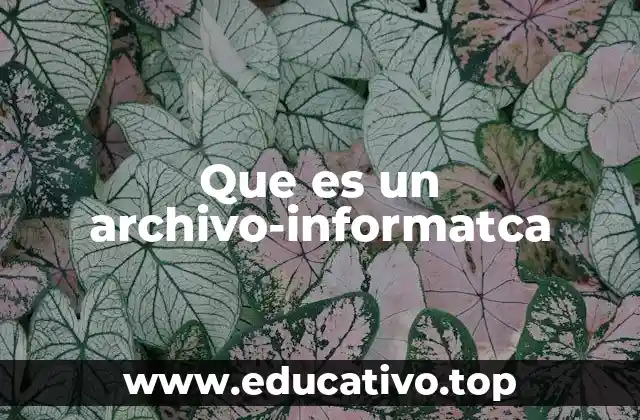 Que es un archivo-informatca