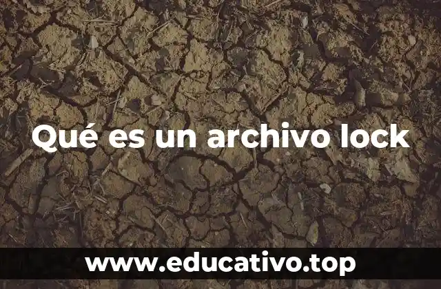 Qué es un archivo lock
