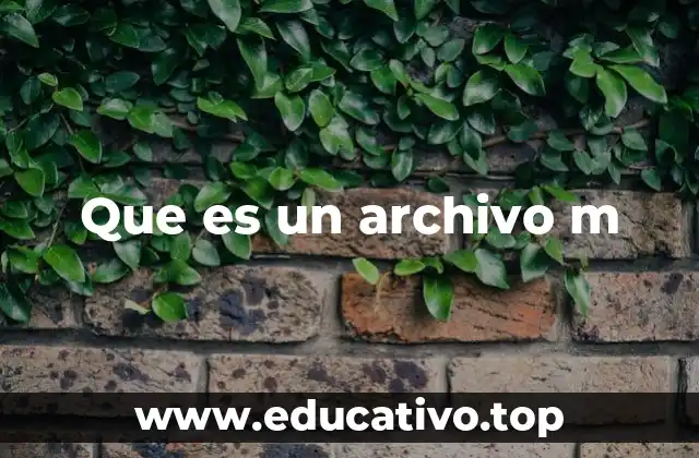 Que es un archivo m