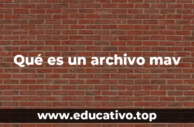 Qué es un archivo mav