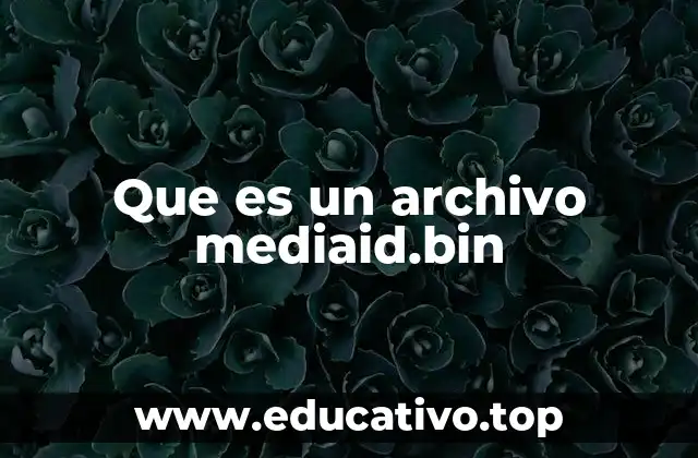 Que es un archivo mediaid.bin