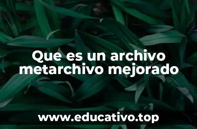 Que es un archivo metarchivo mejorado