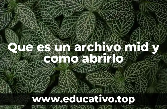 Que es un archivo mid y como abrirlo