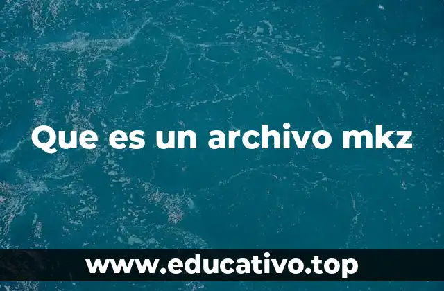 Que es un archivo mkz
