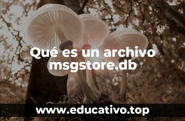 Qué es un archivo msgstore.db