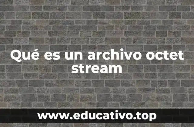 Qué es un archivo octet stream