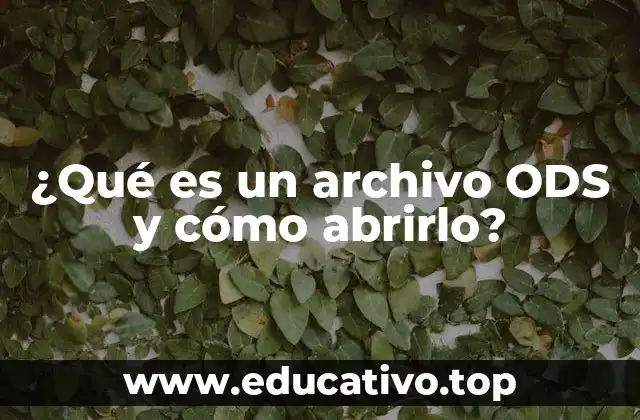 ¿Qué es un archivo ODS y cómo abrirlo?