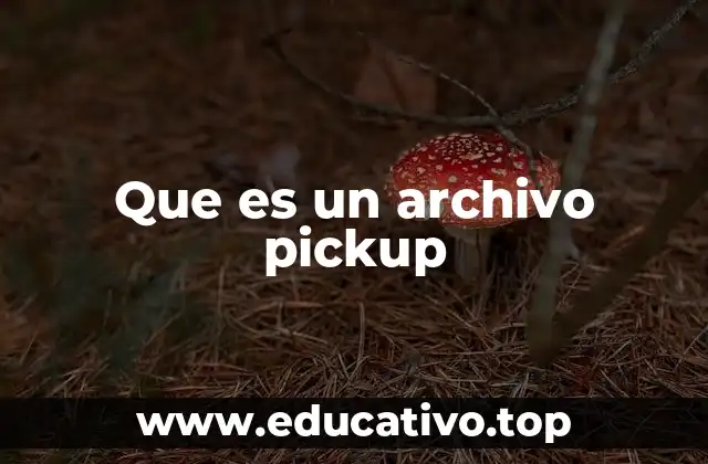 Que es un archivo pickup
