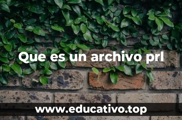 El papel de los archivos .prl en sistemas legados