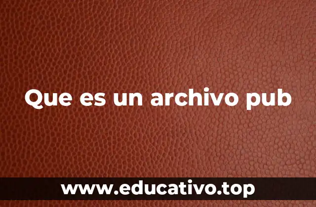 Que es un archivo pub