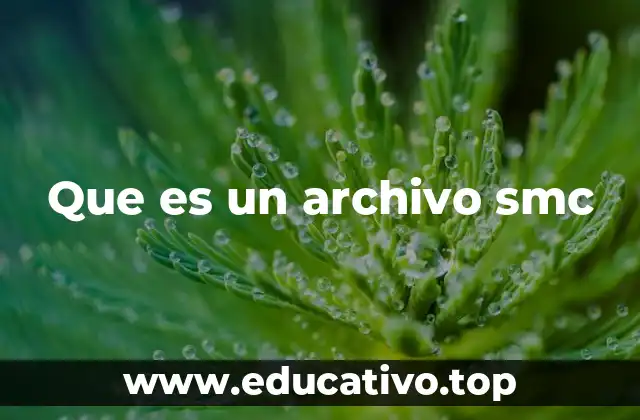 Diferentes contextos donde aparece un archivo SMC