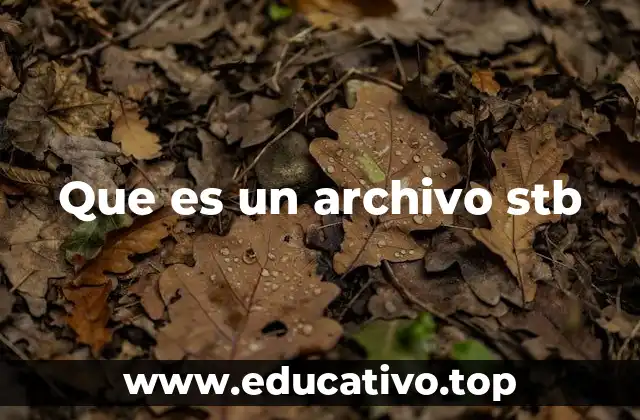 Que es un archivo stb