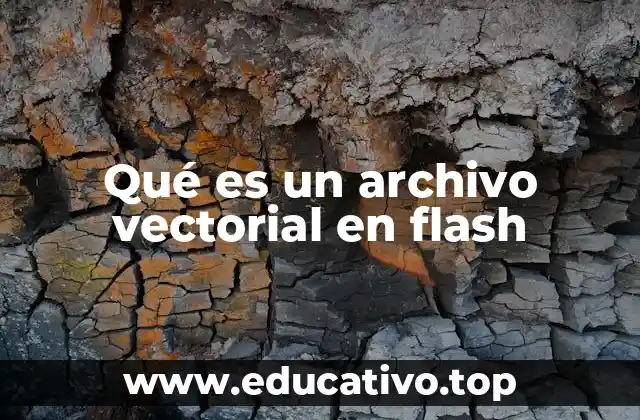 Qué es un archivo vectorial en flash