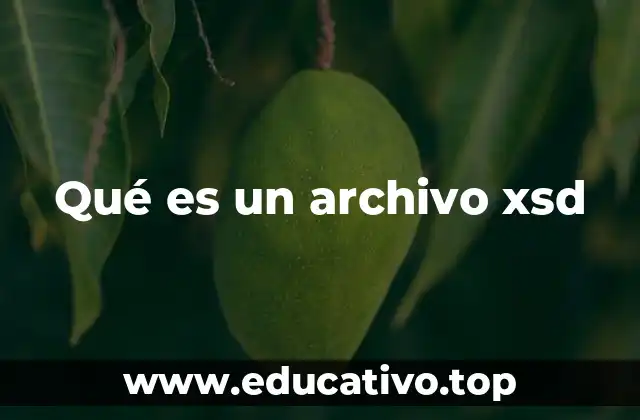 Qué es un archivo xsd