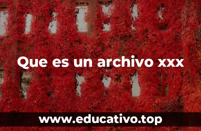 Que es un archivo xxx
