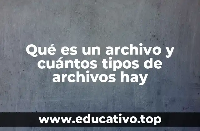 Qué es un archivo y cuántos tipos de archivos hay