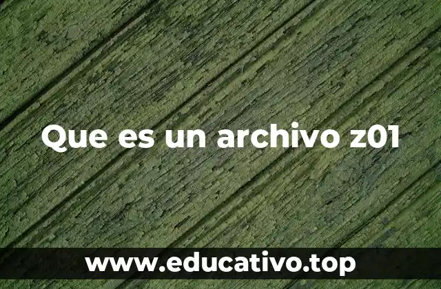 Que es un archivo z01