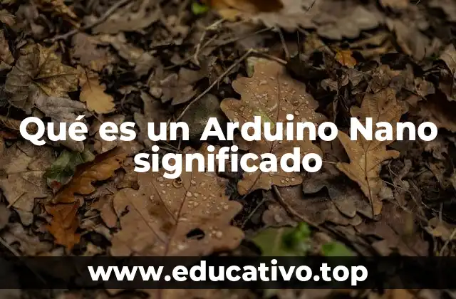 Qué es un Arduino Nano significado