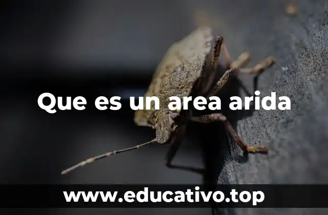 Que es un area arida