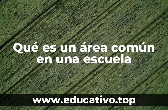 Qué es un área común en una escuela