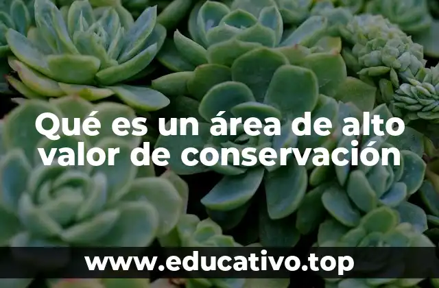 Qué es un área de alto valor de conservación