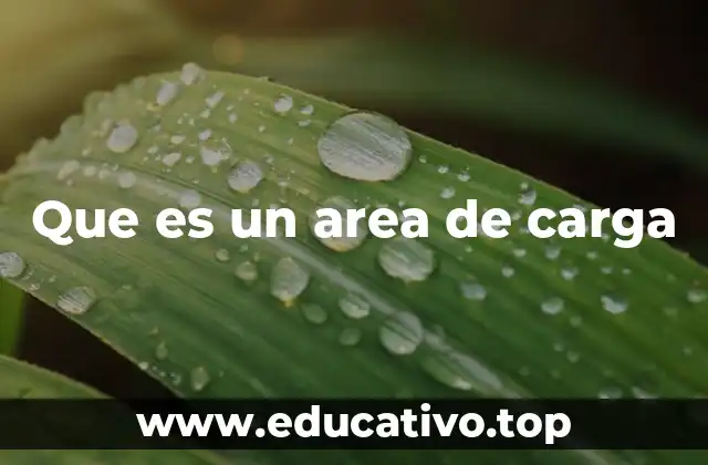 Que es un area de carga