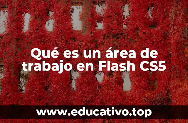 Qué es un área de trabajo en Flash CS5