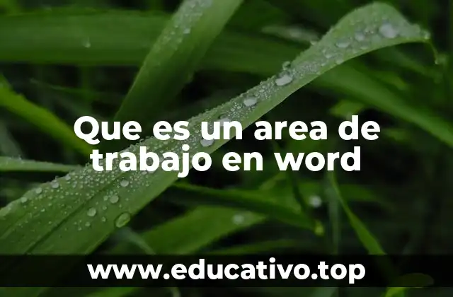 Que es un area de trabajo en word