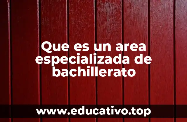 Que es un area especializada de bachillerato